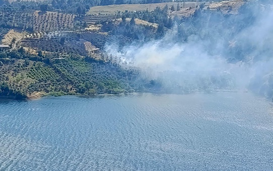 Kahramanmaraş'ta ziraat yangını kontrol altına alındı