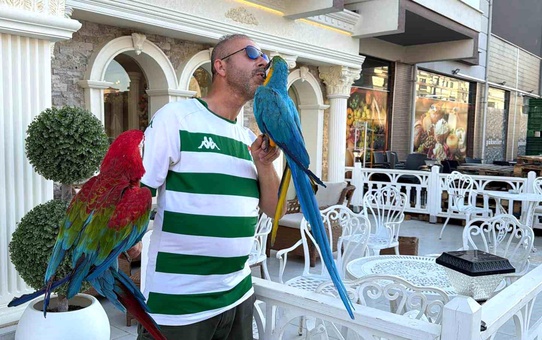 Renkli Papağanlarla Geziye Çıkıyor