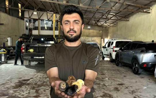 Girişimci Sedat Çelik'ten Kuluçka Başarısı