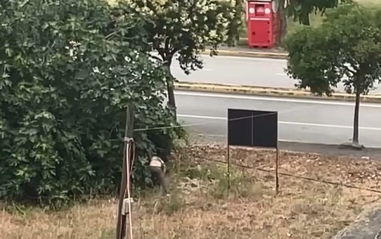 Kocaeli'de Akraba Kavgası: Dayı Öldürüldü