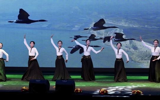 Türkiye ve Çin'den Sanat Dolu Gece