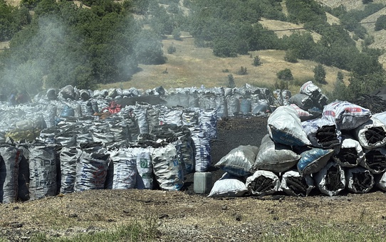 Duman Nedeniyle 9 Buzağı Öldü