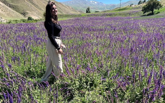 Başakale'deki Lavanta Tarlası Ziyaretçileri Ağırlıyor