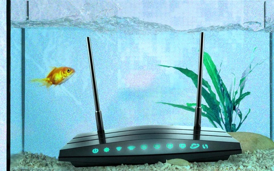 Wifi Sorunları: Mikrodalgalar ve Daha Fazlası
