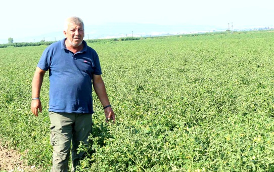 Çiftçilerin Sorunları Gündemde