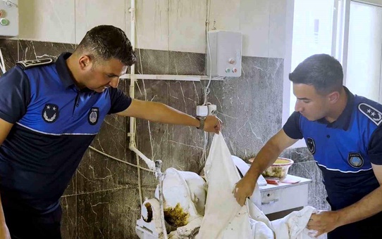 Tarsus'ta fırın denetimlerinde haşereli hamur tespit edildi