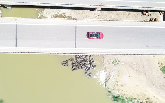 Diyarbakır'da Besicilik ve Sıcak Hava Mücadelesi
