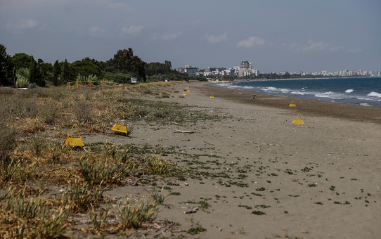 Deniz Kaplumbağaları İçin Koruma Çalışmaları