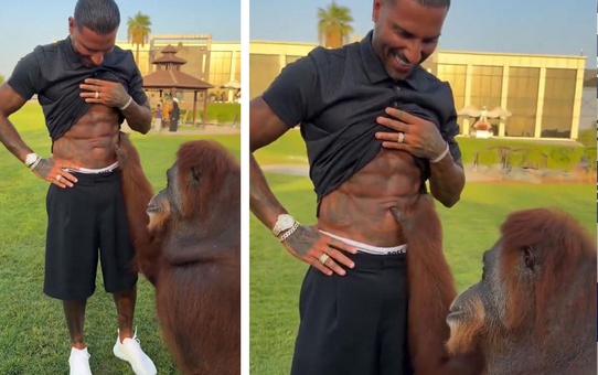 Orangutan, Quaresma’nın kaslarına hayran kaldı