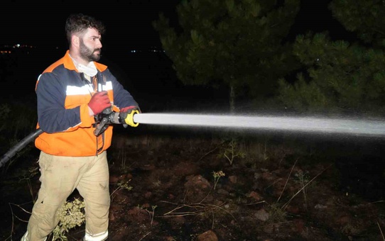 Kırıkkale'de Orman Yangını Kontrol Altında