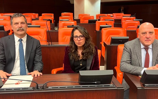Sera Kadıgil hakkında “Cumhurbaşkanına hakaret” ve “tehdit” soruşturması