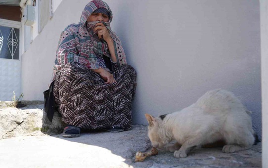 73 Yaşındaki Kadın, Kaybettiği Kedisi İçin Üzüntüde