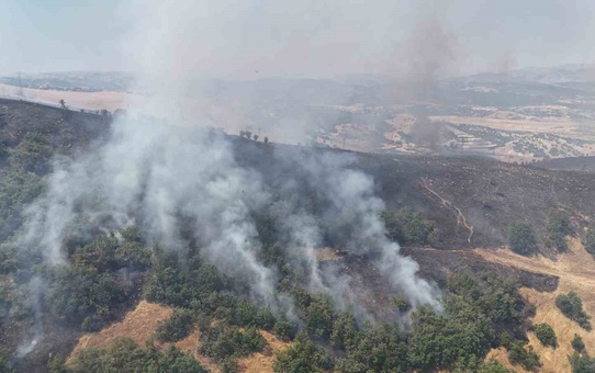 Tunceli’de orman yangını: Havadan ve karadan müdahaleye başlandı
