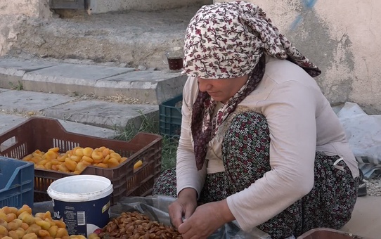 Kayısı Üreticileri Yükselen Maliyetlere Tepki Gösterdi