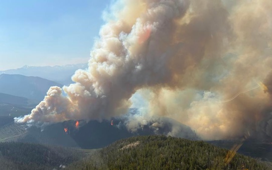 British Columbia'da Orman Yangınları İçin Acil Durum İlanı