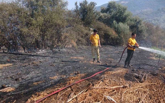 Milas Bafa’da tarım arazisindeki yangın söndürüldü