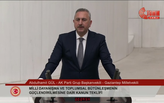 Ak Parti Milletvekili Gül'den Çerçeve Yasa'da 'Anneler' vurgusu: Annelerin kazandığı yerde kimse kaybetmez