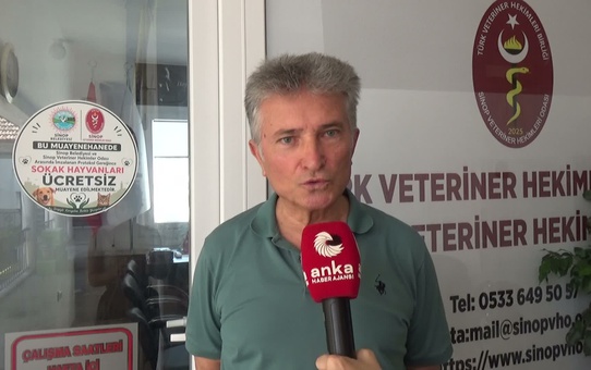 Sinop'ta Sokak Hayvanlarına Ücretsiz Tedavi Projesi