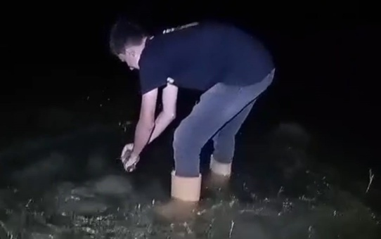 Duyarlı Balıkçıdan Yavru Sazana Veda