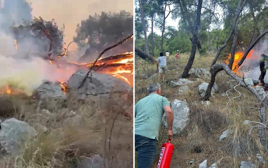 Antalya'da  orman yangını müdahalesinde gönüllüler de devrede: Yangın tüpleri eşekle taşındı