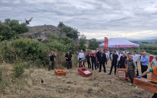 Doğaya 1500 Sülün ve Keklik Salındı