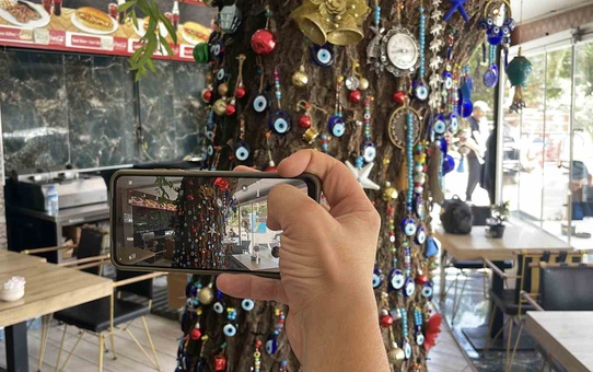 Kafede Yükselen Salkım Söğüt Dikkat Çekiyor