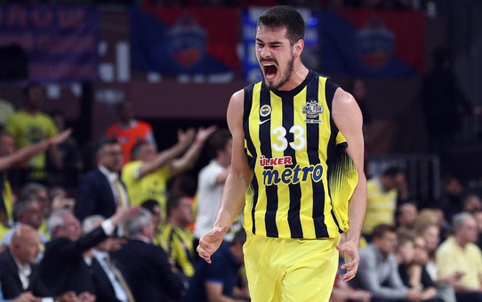 Fenerbahçe'nin efsanesi Kalinic, basketbolu bıraktı