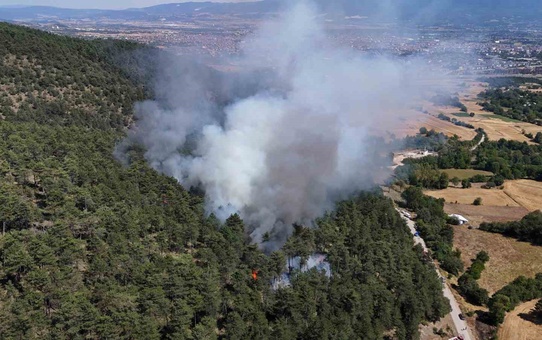 Bolu’daki orman yangını kontrol altına alındı