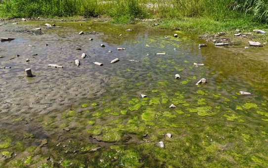 Tunca Nehri'nde Su Seviyesi Tehlikeli Düzeyde Azaldı