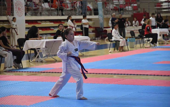 Eskişehir'de 2. Poomsae Turnuvası Heyecanı