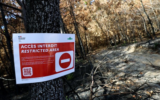 Fontainebleau Ormanı'nda Yangın