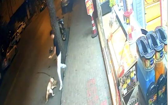 Bambi'nin Trajedisi: Doberman Kediyi Öldürdü