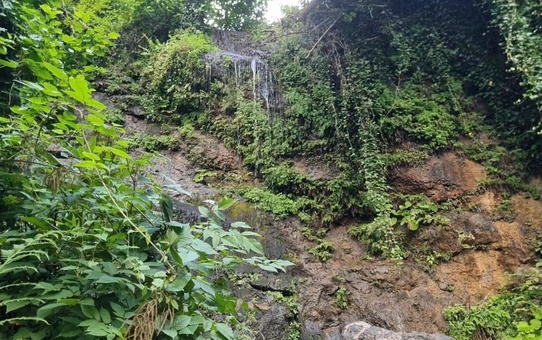 Giresun'da fındık bahçesinde uçuruma düşen genç hayatını kaybetti