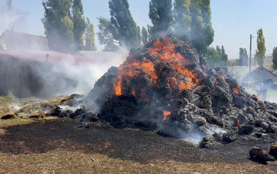 Kars’ta bin ot balyası kül oldu