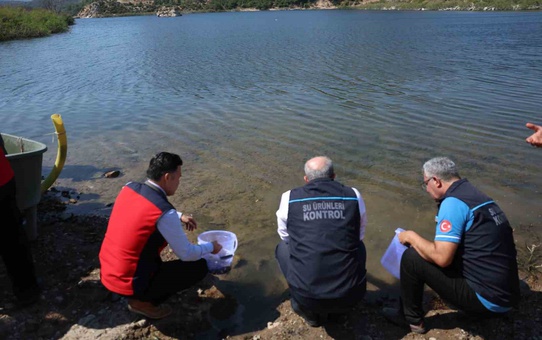 Çanakkale'de Sazan Balığı Salımı