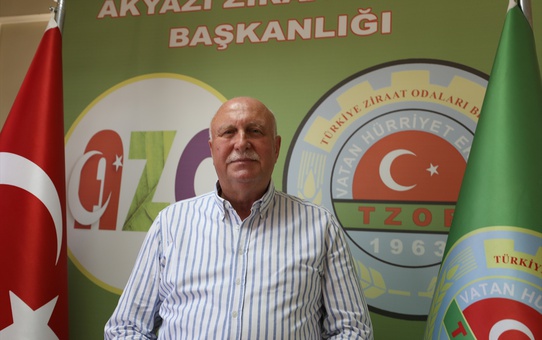 Fındık Rekoltesi Bu Yıl Artıyor