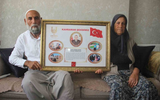 Şehit ailesinden 'Terörsüz Türkiye'ye destek: Ciğerimiz yandı, başkası yanmasın