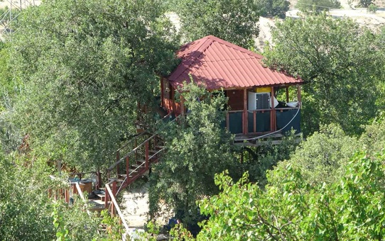 Meşe Ağacına Ev Yaptı