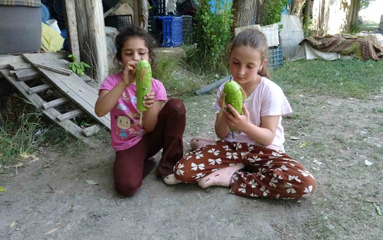 Kabaklardan Organik Oyuncaklar