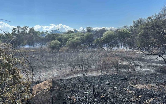 Manavgat Sorgun Mahallesi Boğaz Mendirek yolunda korkutan yangın