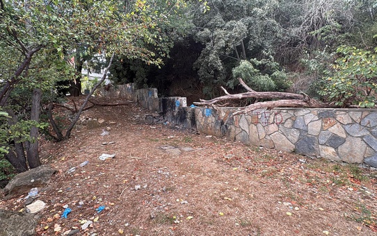 İstinye Parkı'nda gizemli ölüm