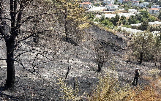 Antalya'nın Alanya ilçesinde makilik alanda çıkan yangın, ekiplerin havadan ve karadan müdahalesiyle kısa sürede söndürüldü; 10 dönüm alan zarar gördü