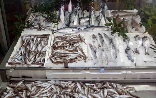Sinop'un İnceburun açıklarında sezonun ilk trol avında 20 kasa mezgit çıktı: Balıkçı Kadir Alabaş memnun