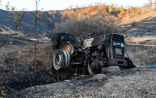Fethiye Foça'daki yangında yüzlerce dönüm alan küle döndü