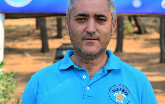 Bodrum'da caretta caretta yavruları denize ulaşırken görüntülendi, DEKAMER uyardı