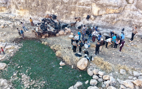 Siirt'te 1000 kıl keçisine yüksek verimli damızlık spermalarıyla suni tohumlama yapıldı