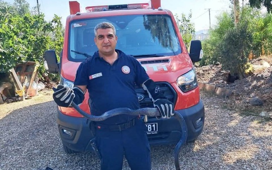 Hatay Antakya'da yaklaşık 2 metrelik kara yılan evin bahçesinde kıstırıldı