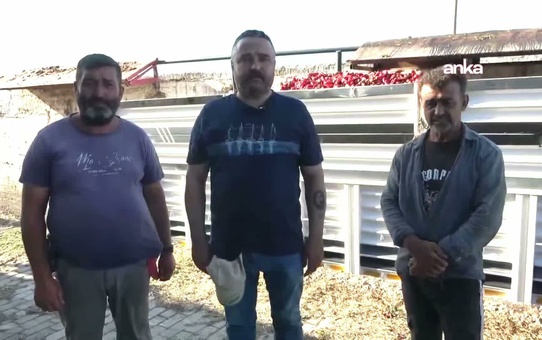 İzmir Kınık'ta çiftçiler artan maliyetler ve düşük fiyatlar nedeniyle üretimden uzaklaştı