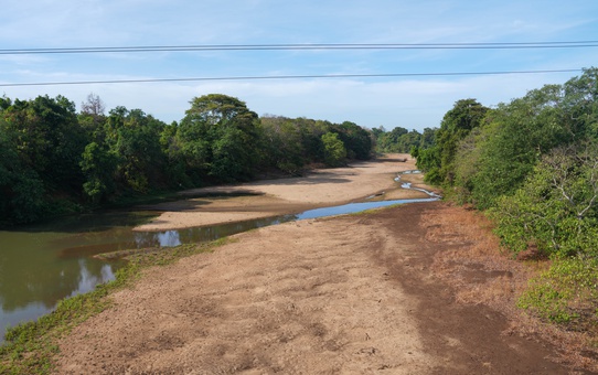 El Nino kaynaklı kuraklık Sri Lanka'da 115 binden fazla kişiyi olumsuz etkiledi