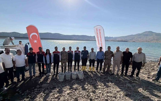 Şırnak Güçlükonak'ta 800 bin yavru şabut balığı Ilısu Baraj Gölü'ne bırakıldı